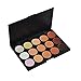 niceEshop(TM) Professional 10 Color Makeup Cosmetic Blush Blusher