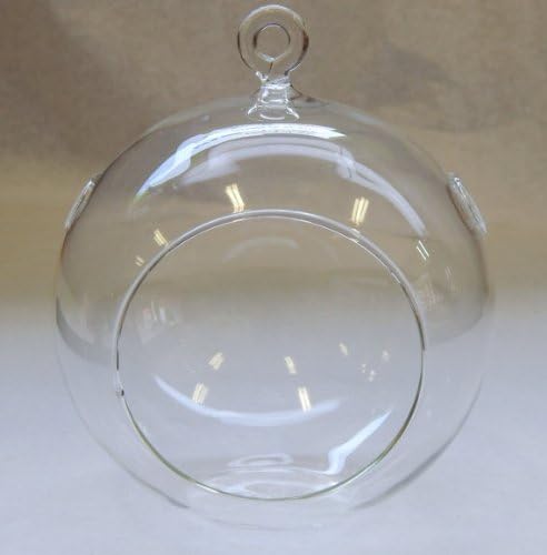 Glass Terrarium 4.5" Round