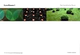 Produkt-Bild: KfW: KunstR&auml;ume I: Der Installierte Raum
