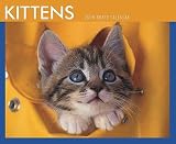 Kittens 2008 Page-Per-Day Calendar - 2008 Animal Calendars