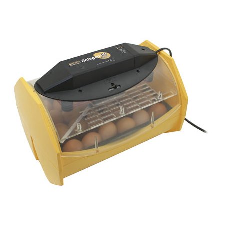 Brinsea Octagon 20 Eco Incubator