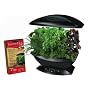 AeroGarden Japanese Herb Seed Kit