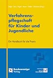Verfahrenspflegschaft für Kinder und Jugendliche. Ein Handbuch für die Praxis