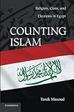 Counting Islam: Religion, Class, and Elections in Egypt (Problems of International Politics)
