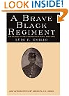 A Brave Black Regiment