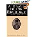 A Brave Black Regiment