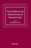 Natural Fullerenes and Related Structures of Elemental Carbon (Developments in Fullerene Science) (Developments in Fullerene Science)