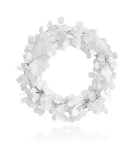 Frosted Honesty Wreath