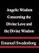 Angelic Wisdom Concerning the Divine Love and the Divine Wisdom