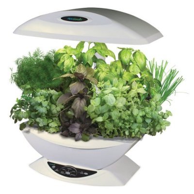 Buy AeroGarden  Classic with Gourmet Herb Seed Kit, White online at Discounted New and Used prices. Delivered to your door with Off-The-Bookshelf.