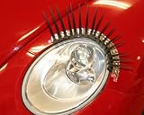 Universal Black Car Headlight Lashes