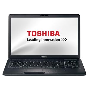 Toshiba Satellite C670D-11G 43,9 cm (17,3 Zoll) Notebook (AMD E300, 1,3GHz, 4GB RAM, 320GB HDD, AMD HD 6310M, DVD, Win 7 HP)