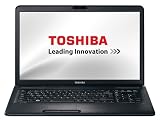 Toshiba Satellite C670D-122 43,9 cm (17,3 Zoll) Notebook (AMD E450, 1,6GHz, 8GB RAM, 640GB HDD, AMD HD 6310M, DVD, Win 7 HP)