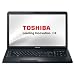 Toshiba Satellite C670D-11G 43,9 cm (17,3 Zoll) Notebook (AMD E300, 1,3GHz, 4GB RAM, 320GB HDD, AMD HD 6310M, DVD, Win 7 HP)