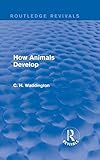 How animals develop