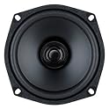 5.25" Dual Cone Speaker