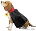 Pet Vampire Dog Halloween Costume For Small Dogs