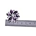 ELEGANTPARK AJ Shoes Dress Hat Accessories Fashion Rhinestones Crystal Shoe Clips 2 Pcs Purple