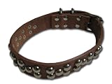 LOVEPET Amazing Fashion Studded Leather Collar, 1.1' X 26'