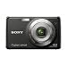 Sony Cyber-shot DSC-W230 12.1 MP Digital Camera with 4x Optical Zoom and Super Steady Shot Image Stabilization (Black)