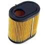 Stens 100-812 Air Filter Replaces Tecumseh 36905 740083A