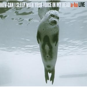 How Can I Sleep With Your Voice in My Head