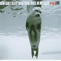 How Can I Sleep With Your Voice In My Head -- A-ha Live