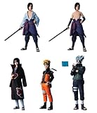 NARUTO -�i���g- �����` ���ɔE��n (BOX)