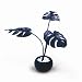 �s�l�H�ϗt�A���E���ԁtMonstera Deliciosa small/SM(�����X�e�� �f���V�I�T)