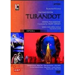 Puccini: Turandot -- Vienna PO/Gergiev [DVD] [2002]