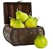 Faux Pear (Set of 6)
