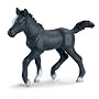 Schleich Lipizzaner Foal