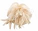 Women Lady Fascinator Hat with Headband Wedding Halloween Tea Party Derby Accessory Khaki