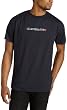 Quiksilver Young Men's Dark Horse T-Shirt