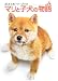 マリと子犬の物語―ポストカード・ブック
