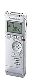 Panasonic ICレコーダー 2GB シルバー RR-XS355-S