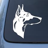 DOBERMAN HEAD - Dog - Vinyl Car Decal Sticker #1507 | Vinyl Color: White