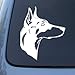 Doberman Head - Dog Vinyl Car Decal Sticker (White)