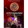 Whitesnake White Night in Russia [IMPORT] DVD