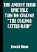 Book The Ancient Irish Epic Tale, Tain Bo Cualnge