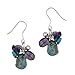 Sterling Silver Turquoise and Amethyst Cluster title=