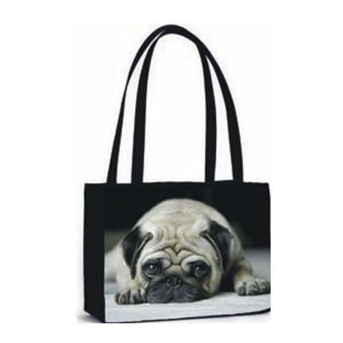 SDISC Snap Tote (Everyday) Photo Handbag Kit