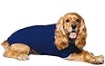 Fashion Pet Classic Cable Dog Sweater, Cobalt Blue, Large