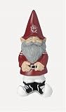 Indiana Hoosiers NCAA Lucky Garden Gnome