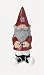 Indiana University Garden Gnome