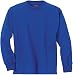 Hanes Youth TAGLESS 6.1 Long Sleeve T-Shirt, Large-Deep Royal [Apparel]