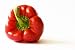 Books : Spectacular Stuffed Peppers: The Ultimate Collection of the World's Finest Stuffed Pepper Recipes