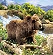 BROWN BEAR PUPPET BY FOLKMANIS 17"