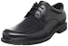 Rockport Men's Editorial Office Apron Oxford