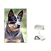 Australian Cattle Dog Flip Top Lighter